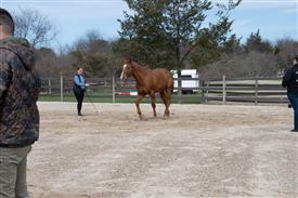 LR-WRF 0402026 Retreat-3224